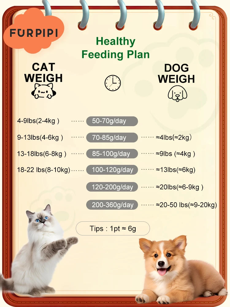 8L Smart Automatic Cat Feeder with Camera & WiFi