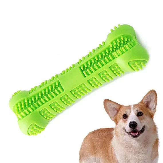 Soft Rubber Dog Chew Toy – Toothbrush & Training Stick