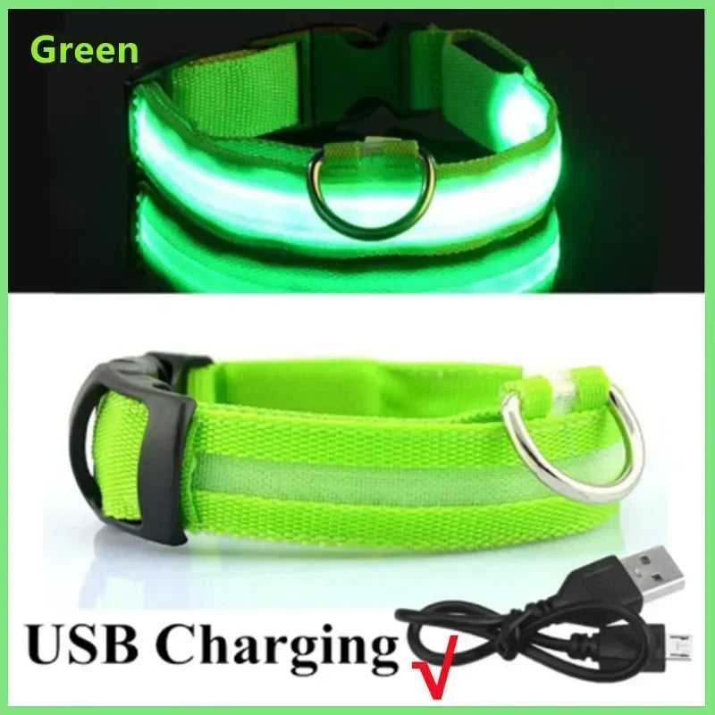 LED Glowing Dog Collar – Adjustable Flashing Night Safety