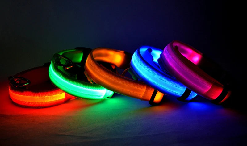 USB Rechargeable LED Dog & Cat Collar – Glowing Night Safety