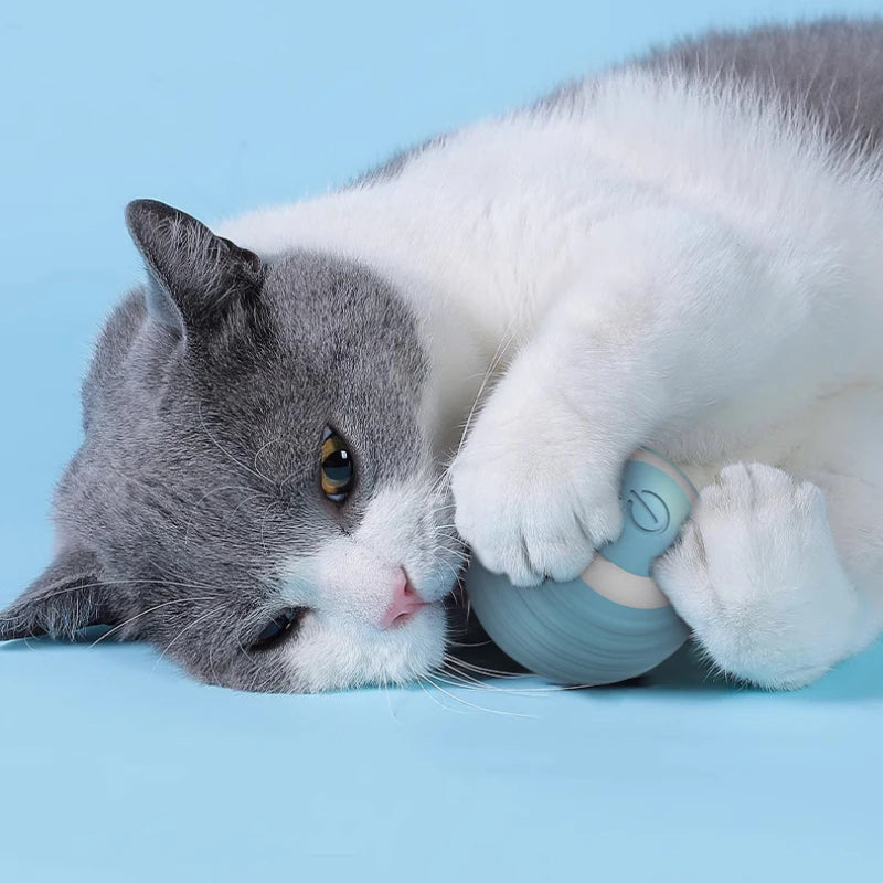 Self-Moving Electric Cat Ball – Interactive Rolling Toy