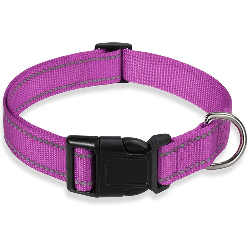 Adjustable Reflective Dog Collar – Safety Nylon Strap