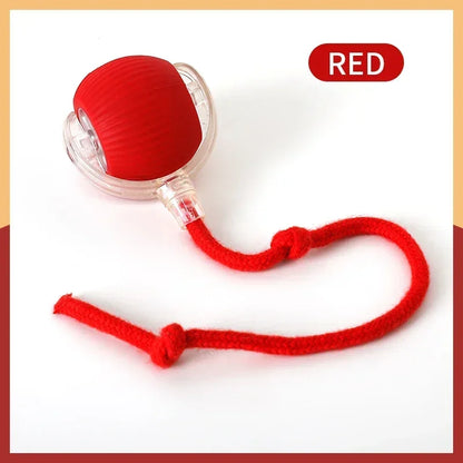 Automatic Rolling Cat & Dog Ball Toy – Rechargeable Smart Mouse