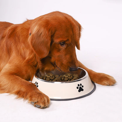 Stainless Steel Pet Food Bowl – Durable & Anti-Fall
