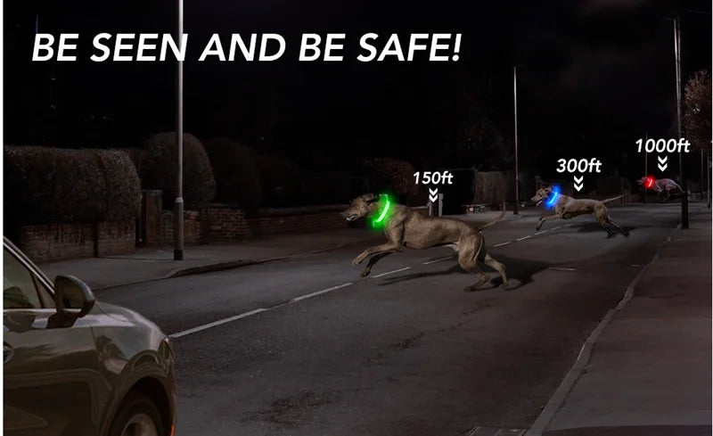 USB Rechargeable LED Dog & Cat Collar – Glowing Night Safety