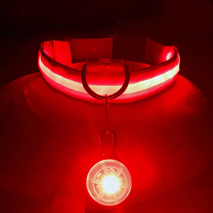 USB Rechargeable LED Dog & Cat Collar – Glowing Night Safety