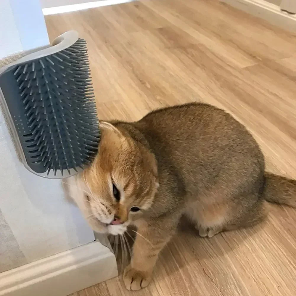Cat Corner Self-Grooming Brush – Wall-Mounted Massager & Scratcher for Cats