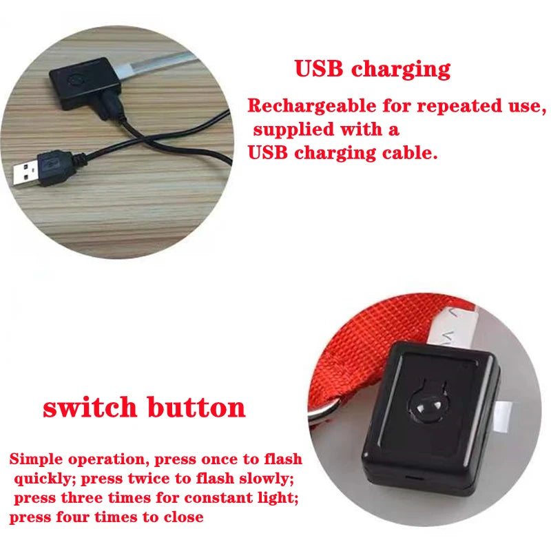 USB Rechargeable LED Dog & Cat Collar – Glowing Night Safety
