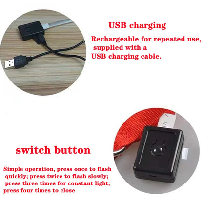 USB Rechargeable LED Dog & Cat Collar – Glowing Night Safety