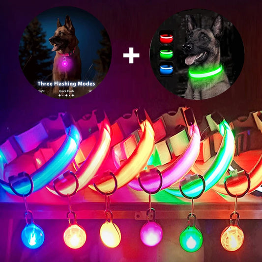 USB Rechargeable LED Dog & Cat Collar – Glowing Night Safety